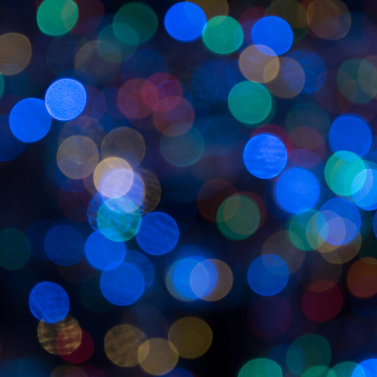 Ensuring Equitable Access to Vision Health Care for Individuals with Intellectual & Developmental Disabilities